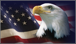 NRA Flag & Eagle